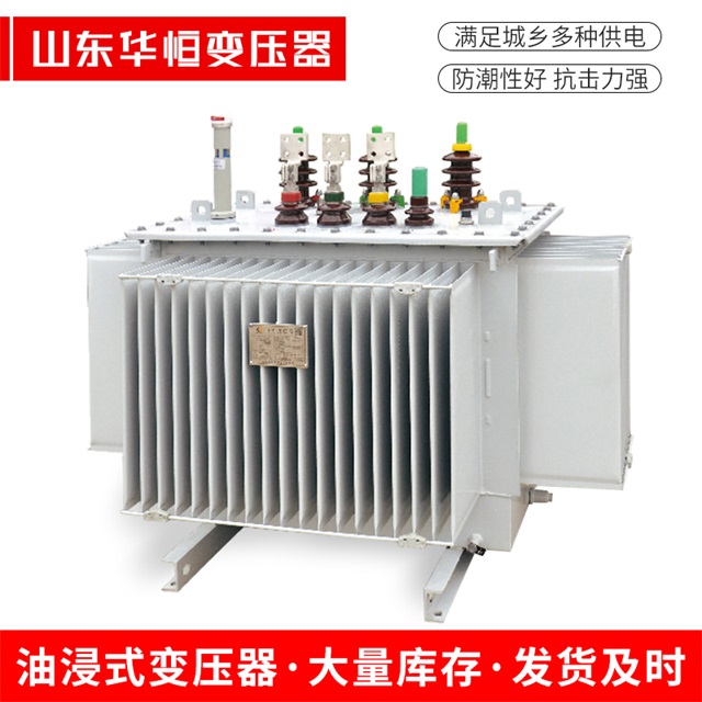 S13-10000/35港南港南港南电力变压器